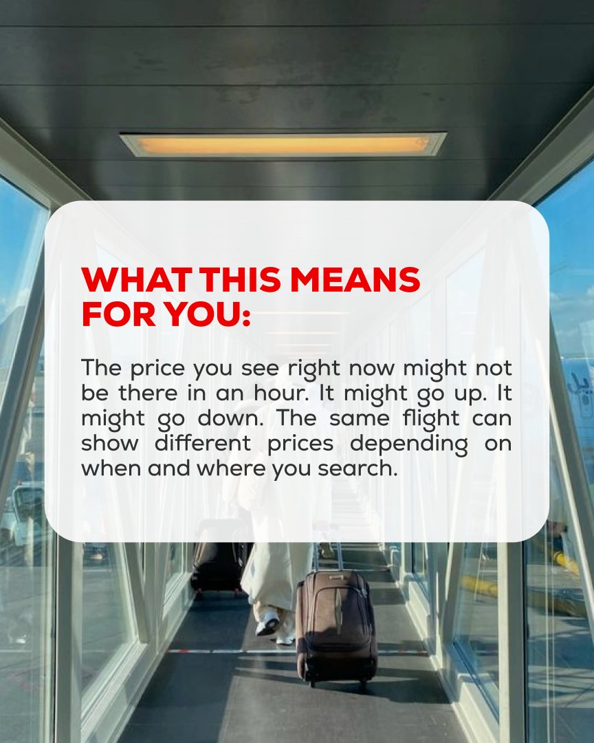 tickets_hq's tweet image. Airline pricing is changing. AI is making it faster, smarter, and harder to keep up with. Good thing you don't have to. Tickets tracks price history and tells you whether to buy now or wait.
Link in bio 👇
#travelhack #cheapflights #flightdeals #travelsmart