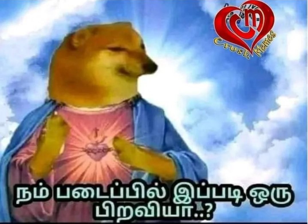 Zaara Silambarasan TR ❤️💛❤️ tweet media