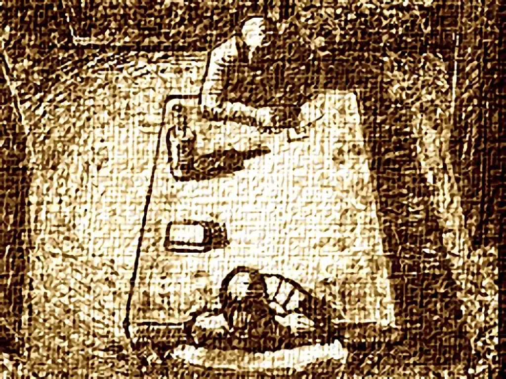 Court-Records tweet media