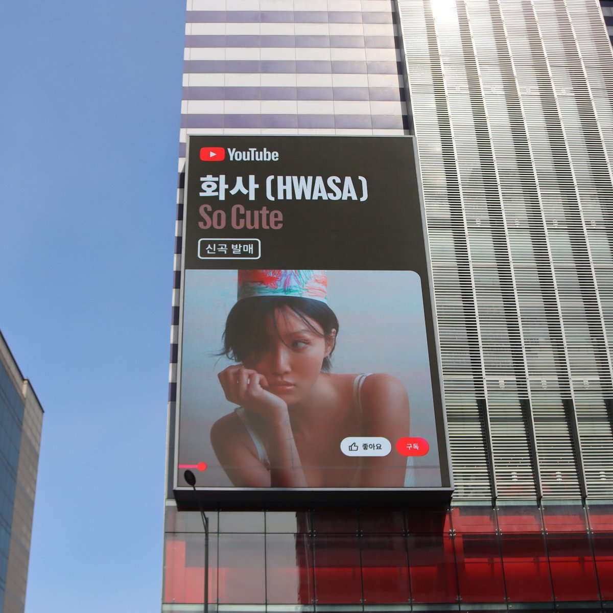 P NATION tweet media