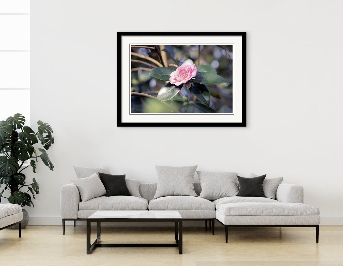 Tanya C Smith tweet media