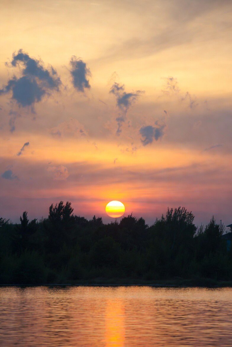 De EVIDENCE 🌎💡 tweet media