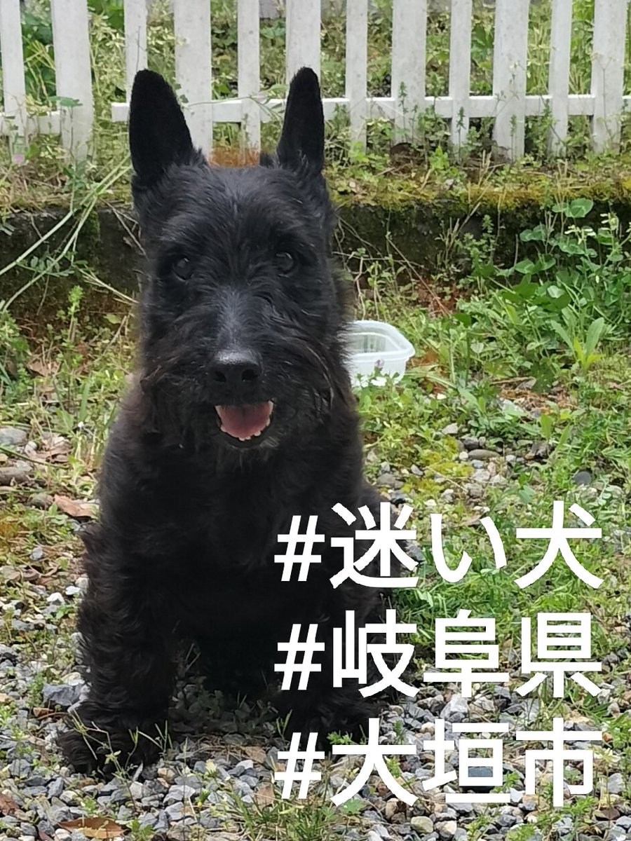 呼び方はご自由に👍 tweet media