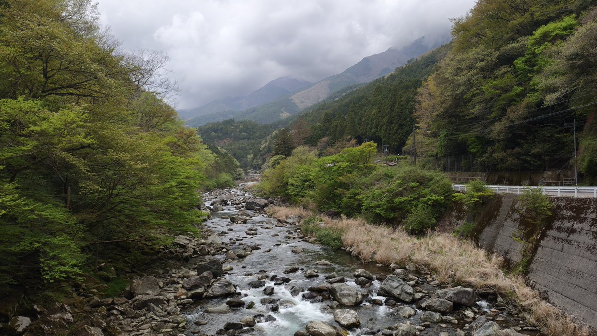 ろんきも tweet media