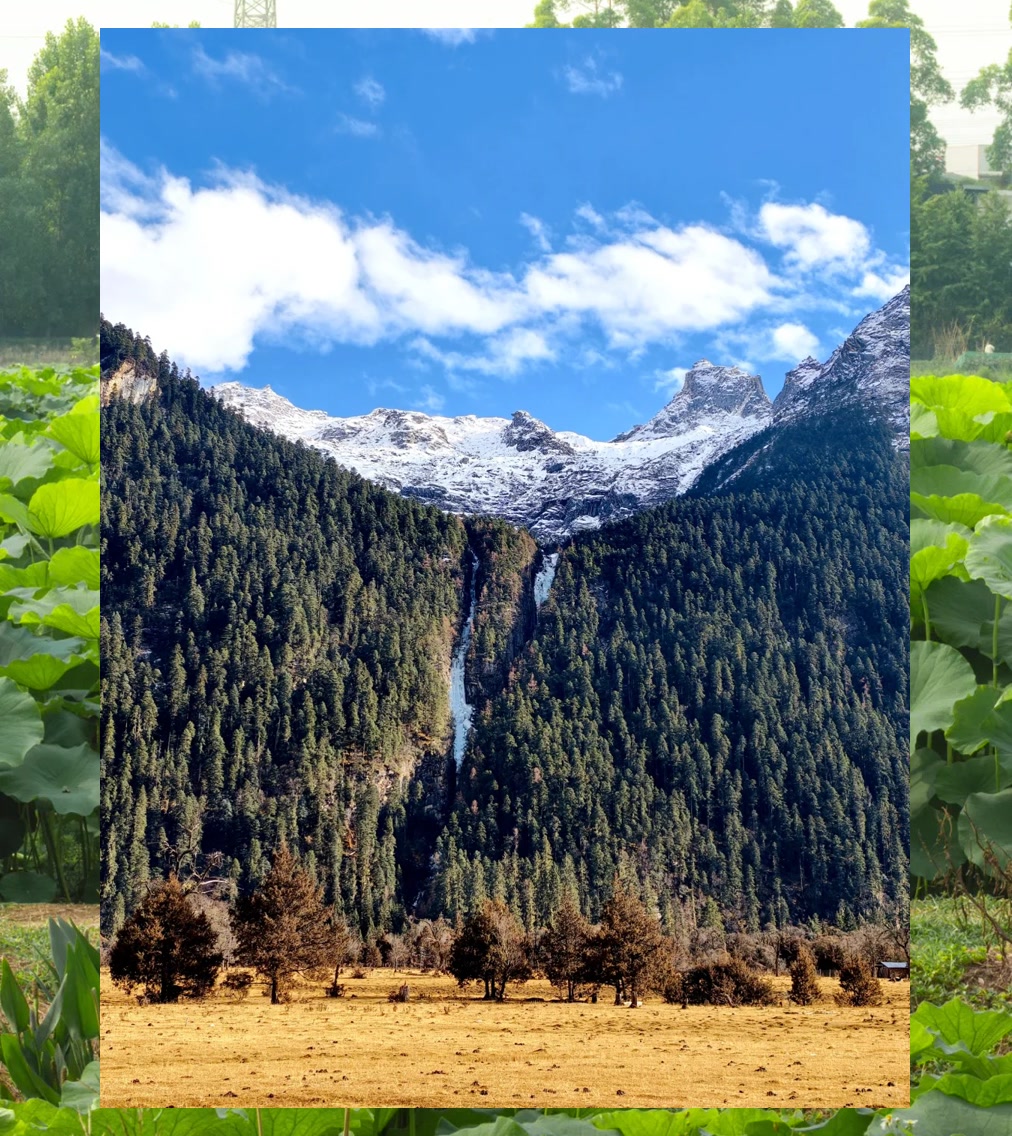 Daniel Becerra tweet media