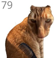 YellowFlash444's tweet photo. send $jjaemu the viral cat
100% fee redirected to the creators github

3CfFeB1hzkonK9Y6pFSH2rRshidGd3cnLTr6EYRupump https://t.co/EMAyilNhJC