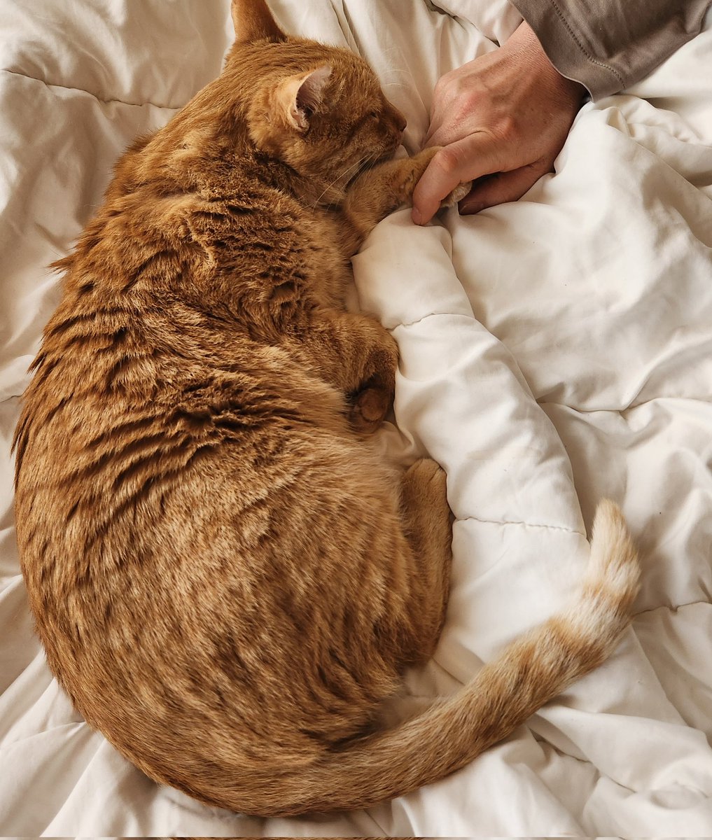 𝕄‌𝕀‌𝕂‌𝕂‌𝕀‌. tweet media