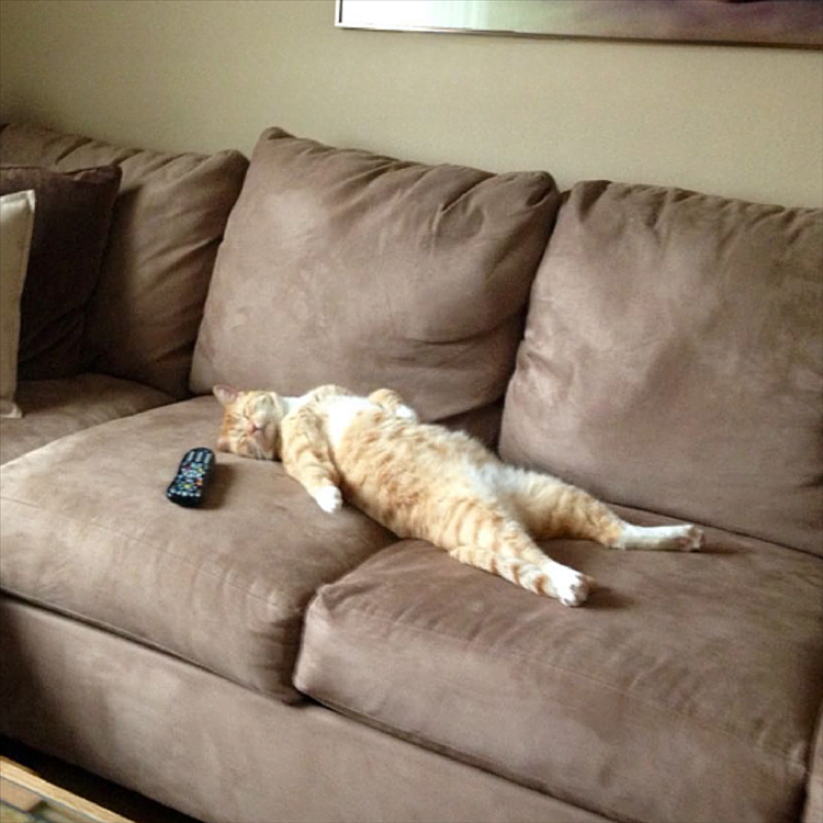 Four_FORM_'s tweet image. The AI can stay off to the side.

#Four #FourCommunity