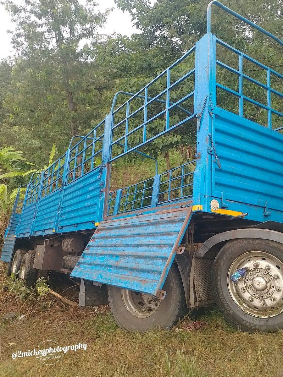 Ignatius tweet media