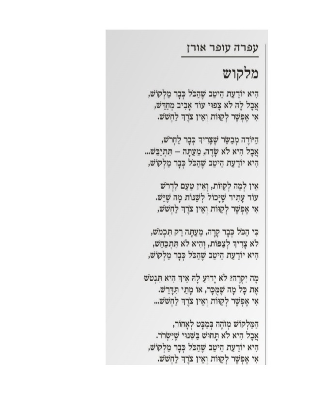 Ofra Offer Oren tweet media