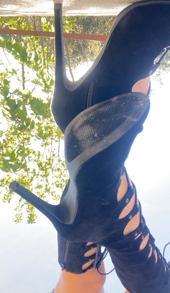 Reine Meline 🐆 tweet media