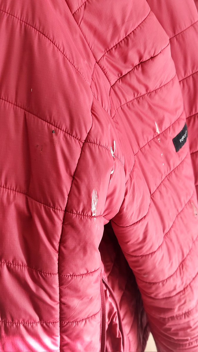 Vita OZO 🇱🇻🇺🇦 tweet media