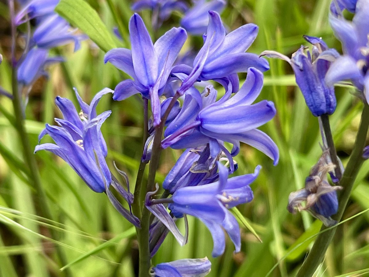 Frédéric Manfrin tweet media