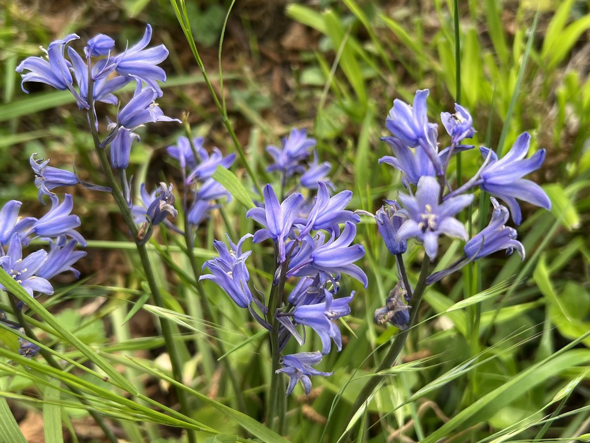 Frédéric Manfrin tweet media