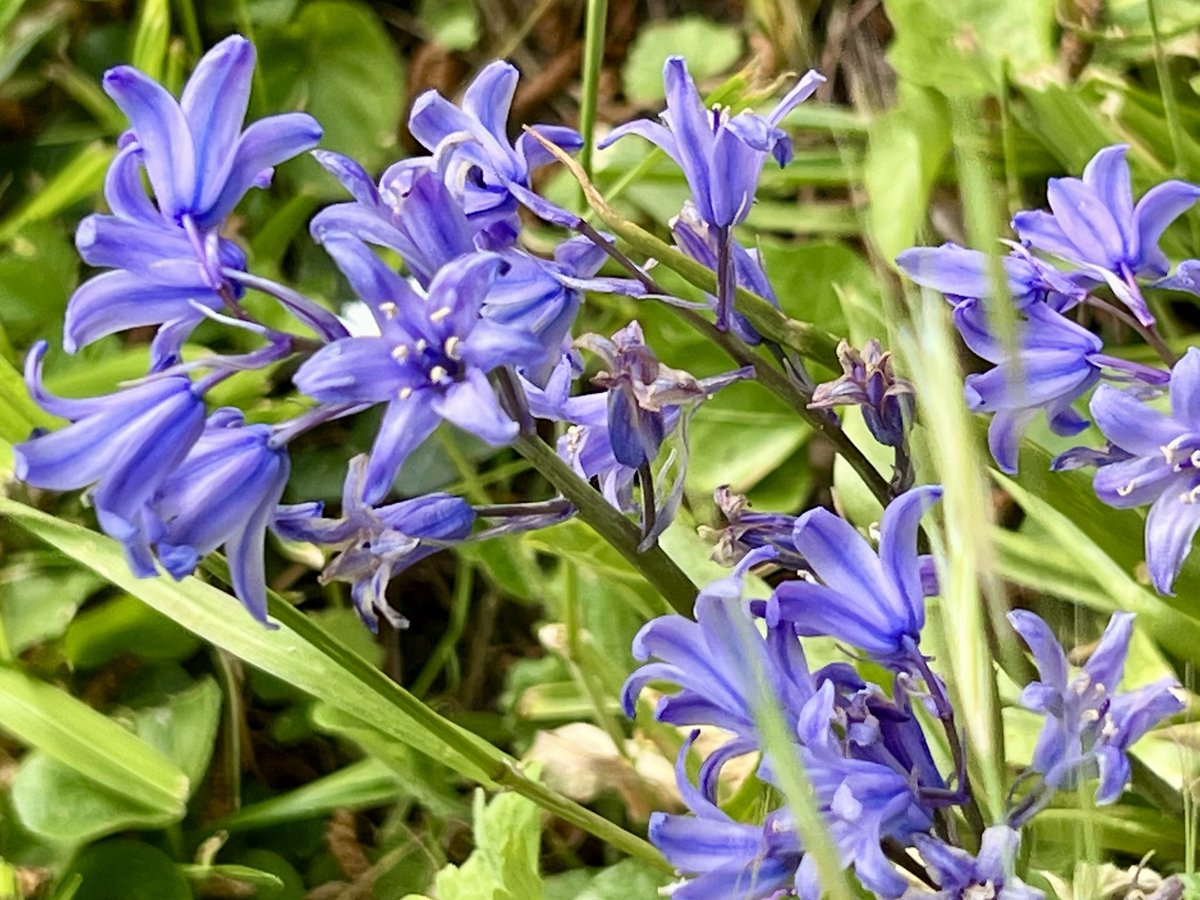 Frédéric Manfrin tweet media