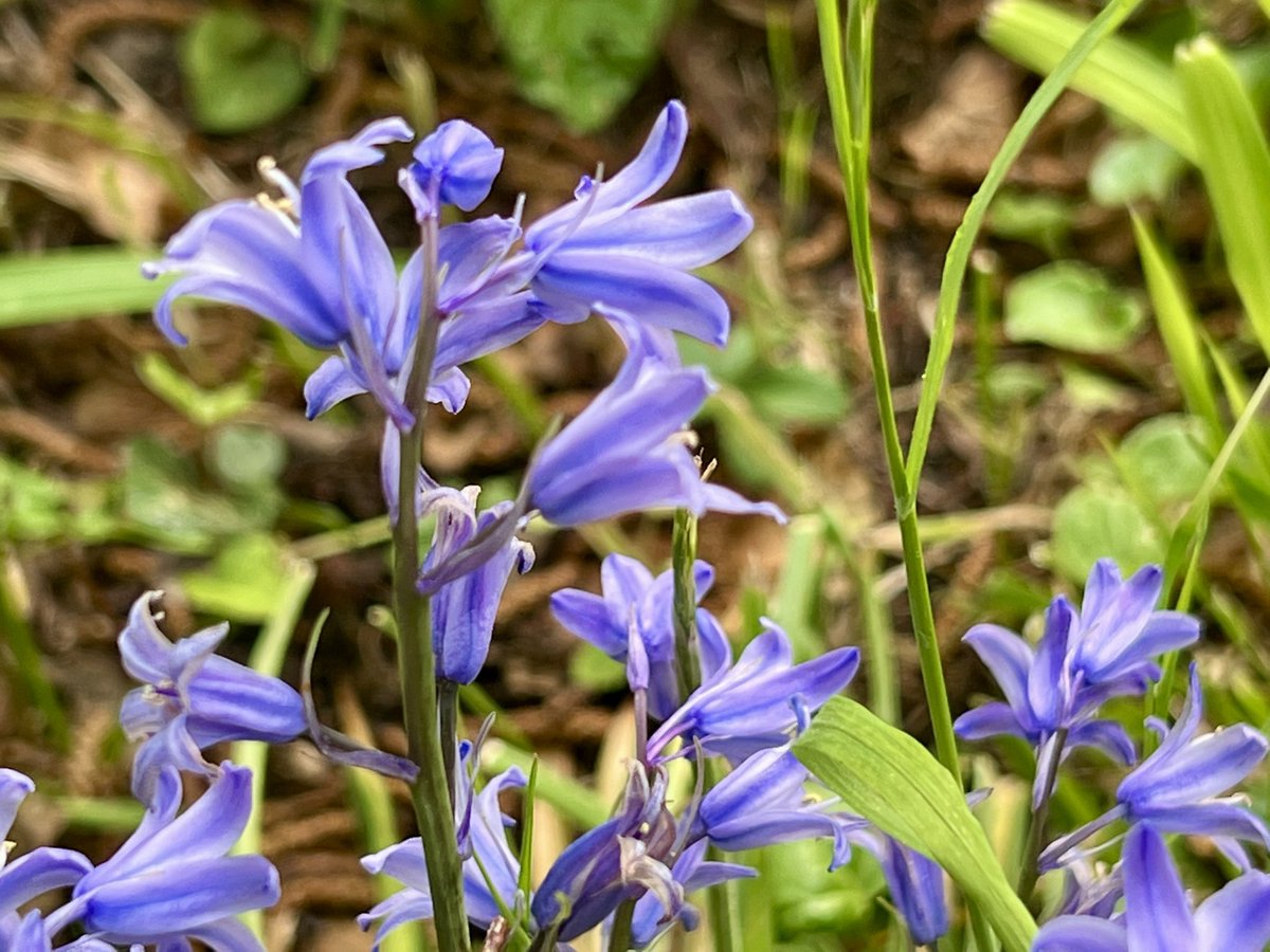 Frédéric Manfrin tweet media