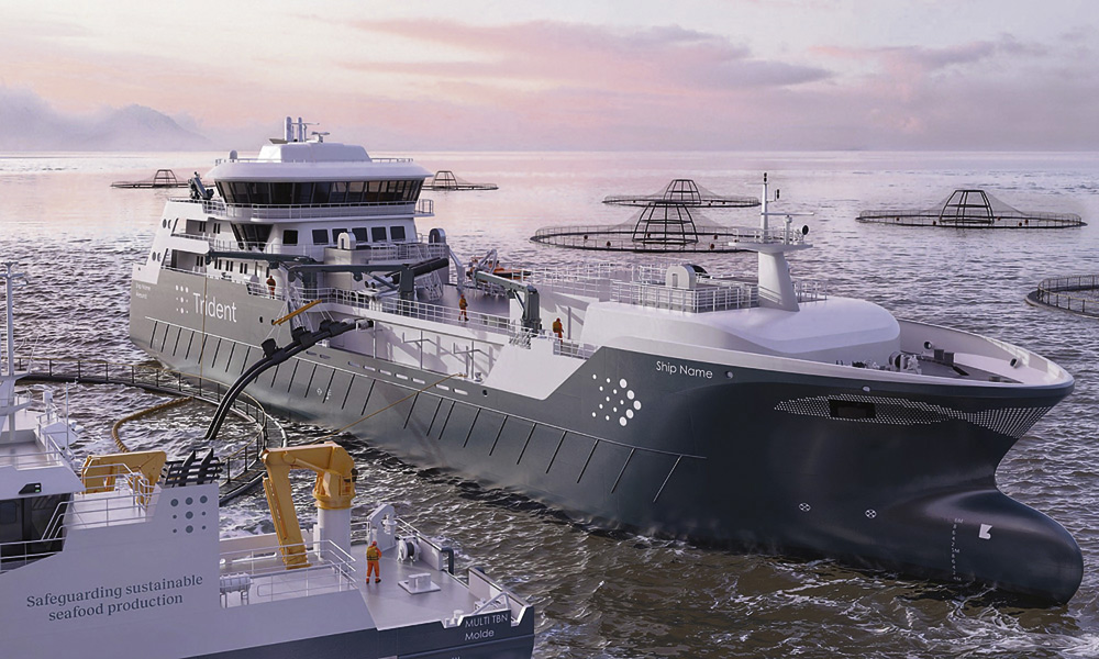 Estrategianet's tweet image. 📖 #Anuario 2025 de @Estrategianet
La especialización garantiza un futuro #naval para #Euskadi
tinyurl.com/4ypu7ahr