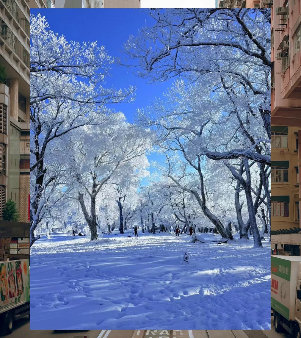 Shay Payne tweet media