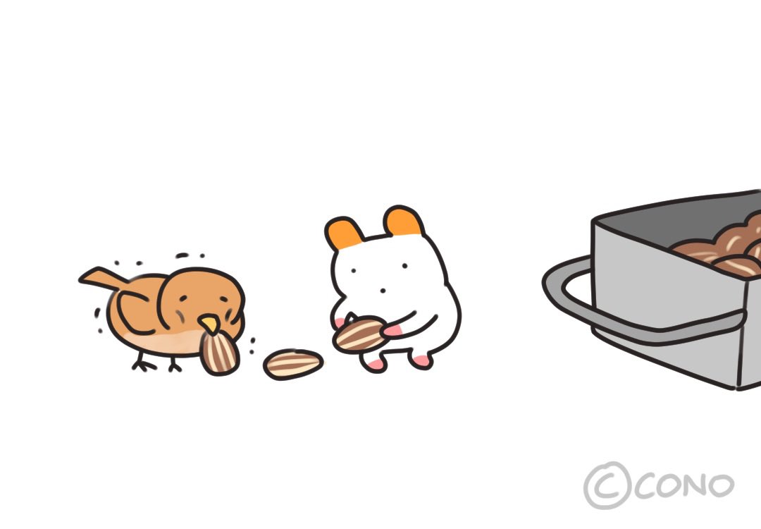 conotoon's tweet photo. 참새를 만난 찍찍잉🐹🐤 https://t.co/q1M0vy7mlL