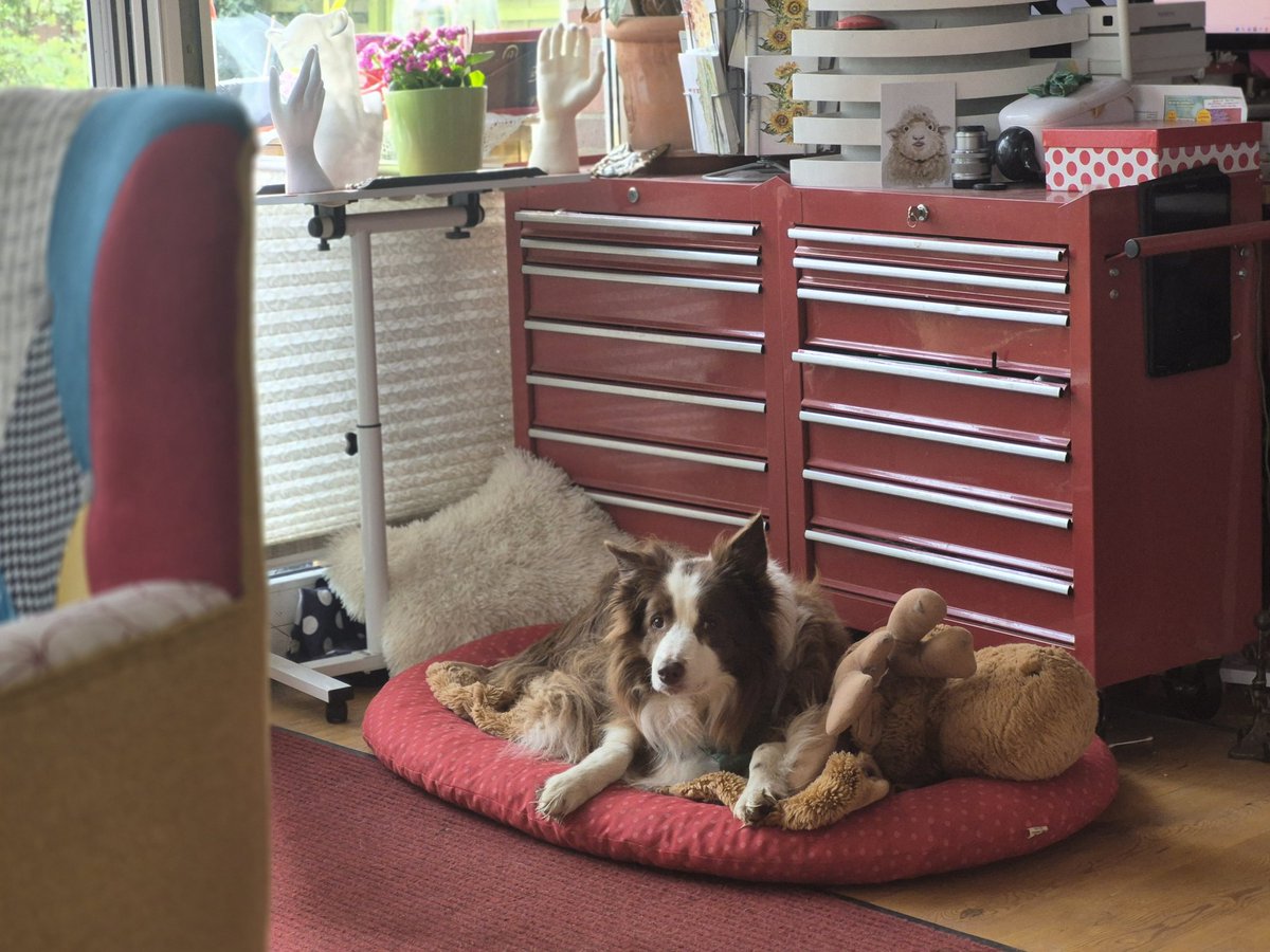 wandklex Ingrid tweet media