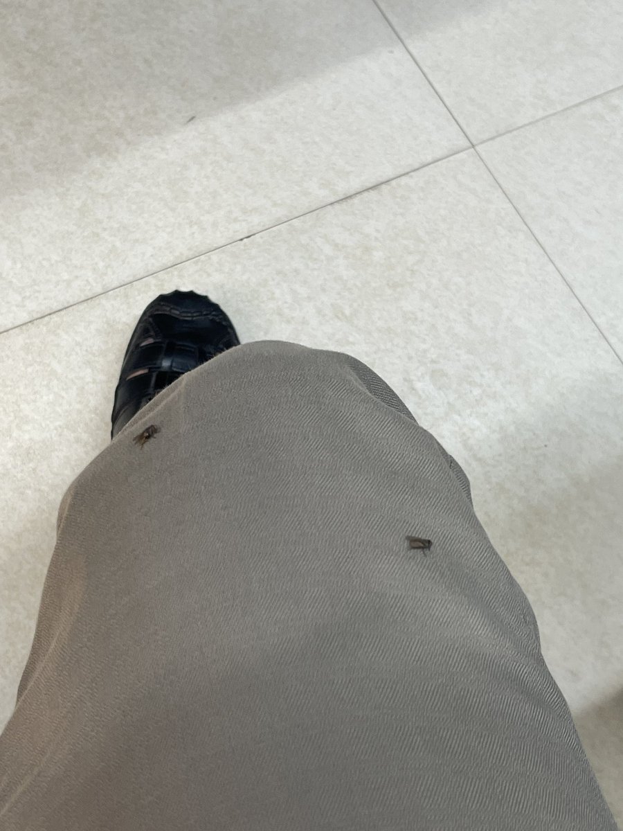 Debiprasad_m's tweet photo. @aaibpiairport pls install some fly zappers near food stalls. The condition is horrible at Gate No-2. https://t.co/XDVoVDE1Bd