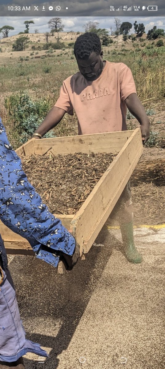 TICHA MANDEVU13 tweet media