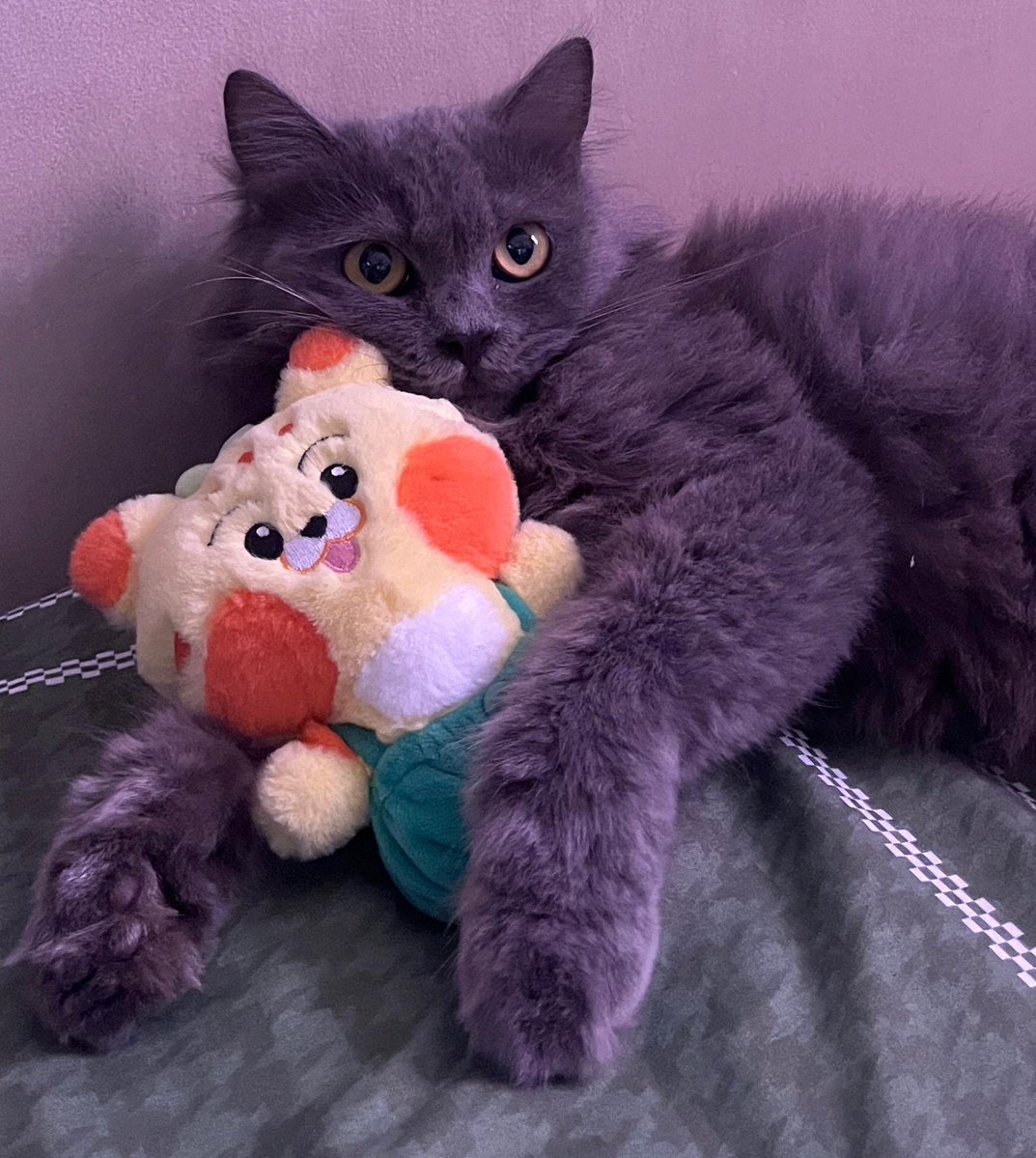 greyy with eong 😭🤏🏻