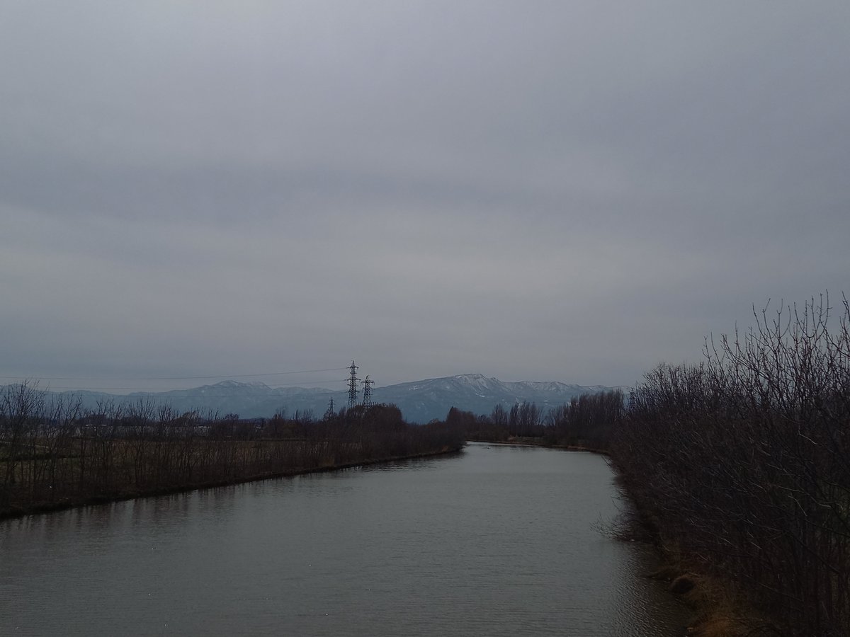 たっか tweet media