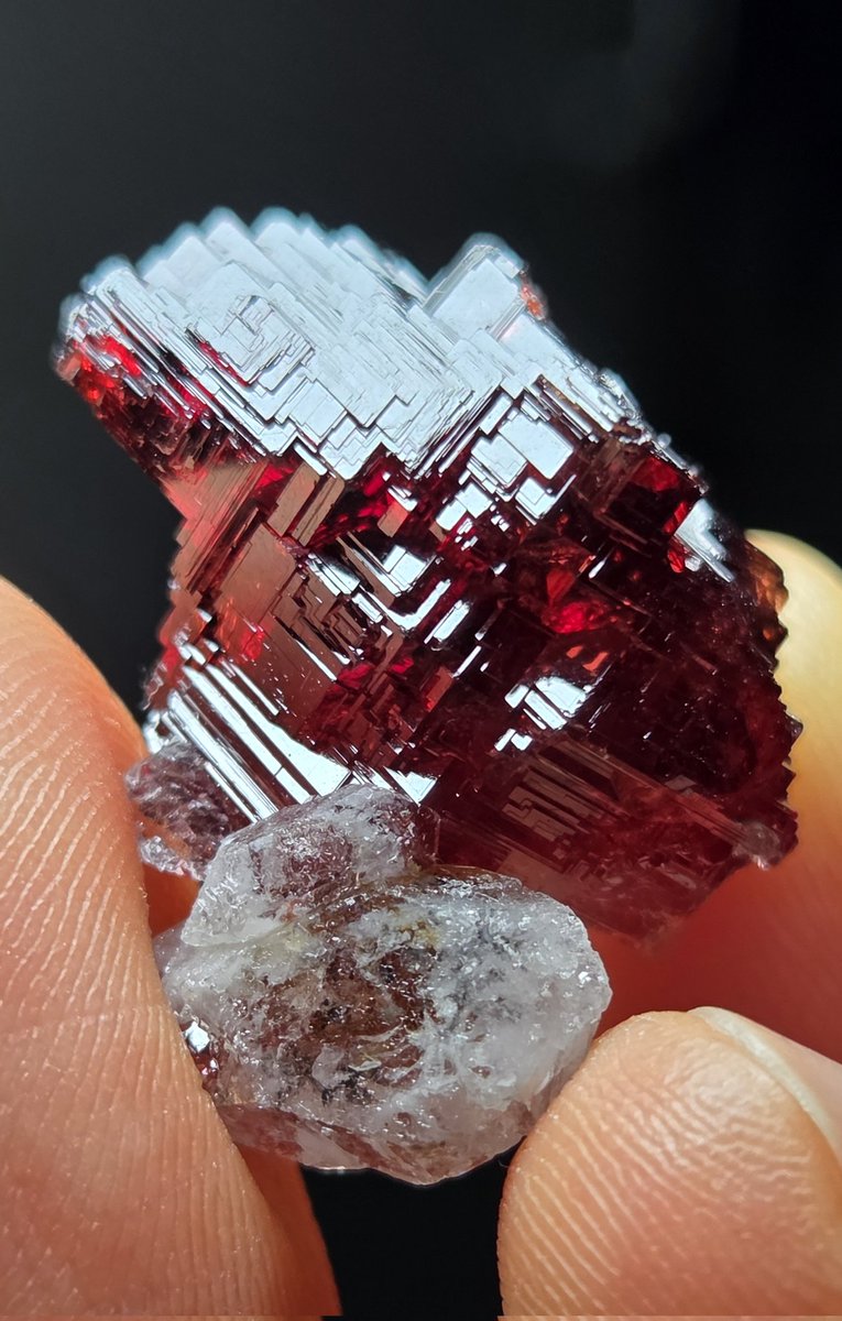 UralOwlet's tweet image. Etched spessartine (Brazil)
There is a crystal of quartz with the spessartine. I really like its wine-red depth.

#spessartine
#minerals
#specimen
