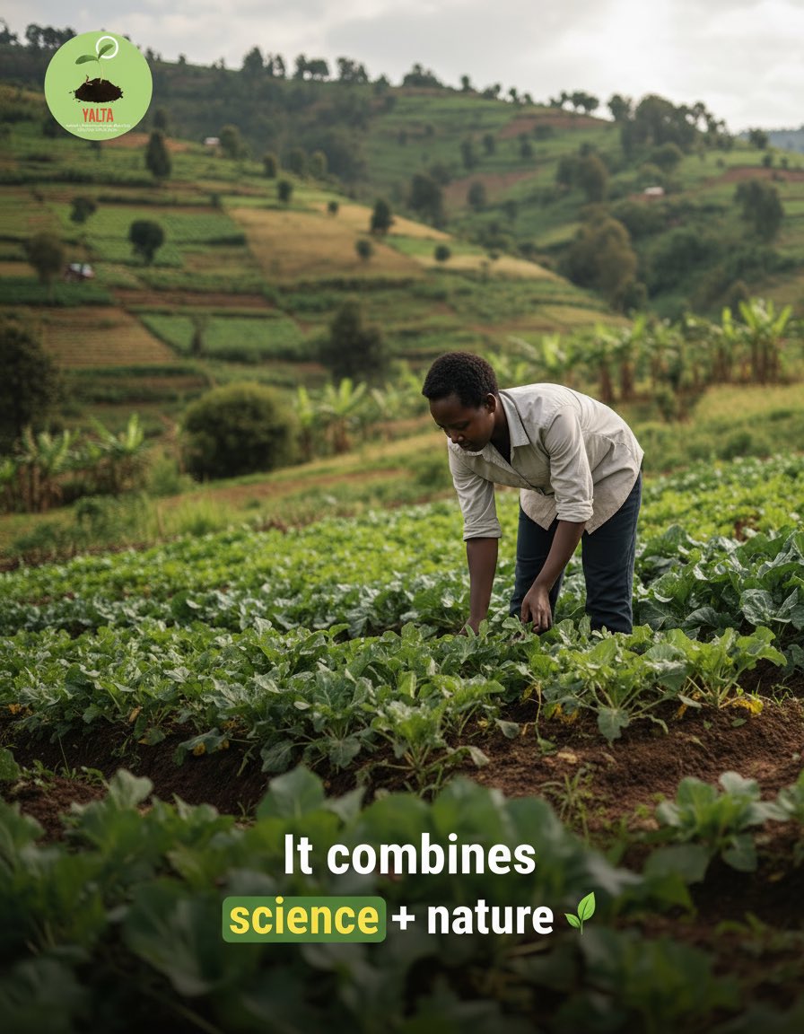 YALTA Initiative tweet media