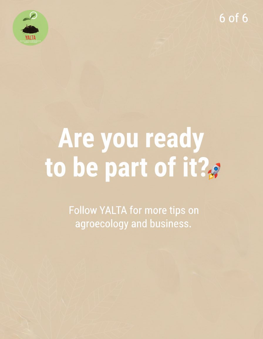 YALTA Initiative tweet media