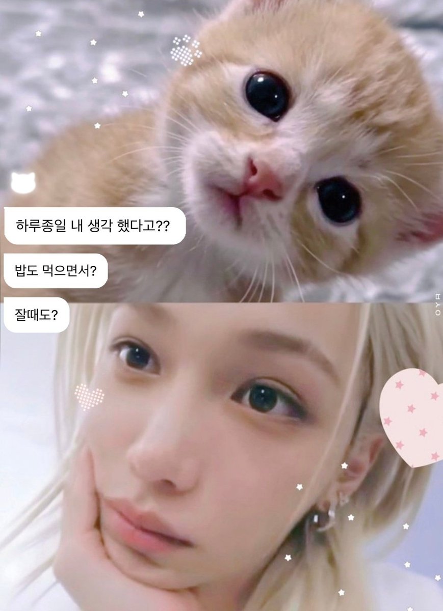 복생이 tweet media