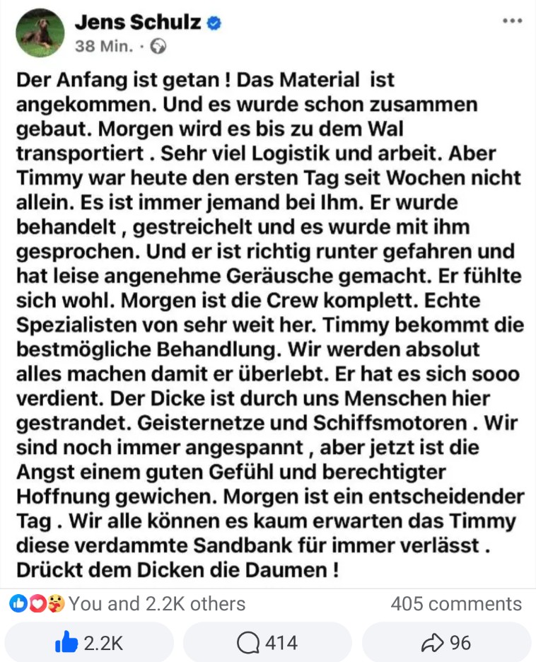 Soweit die Lage:
#Buckelwal  #Timmy