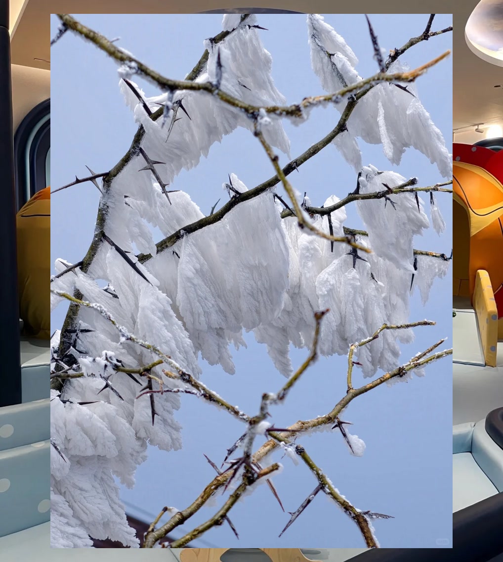 Ruben Muhammad tweet media