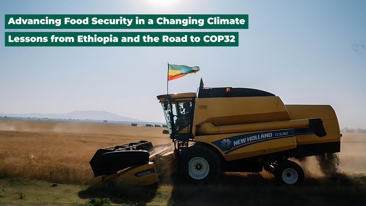 Ethiopia Wheat Transformation Journey (@EthiopiaWheat) / Posts / X