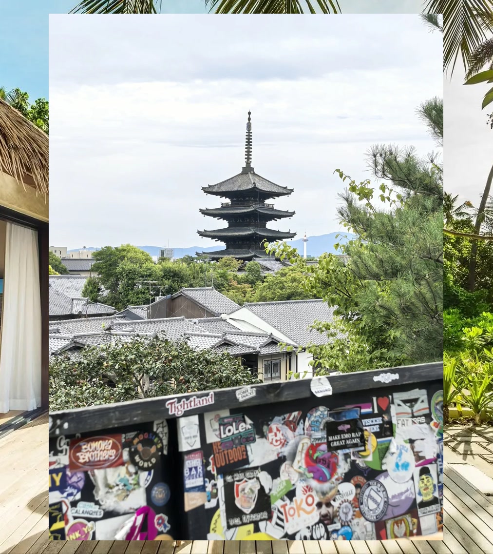 Lisa Wolfe tweet media