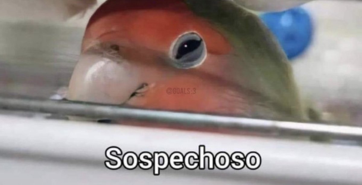 Madre: Puedes volver al cielo. 

Yo: 

( # nvnv)