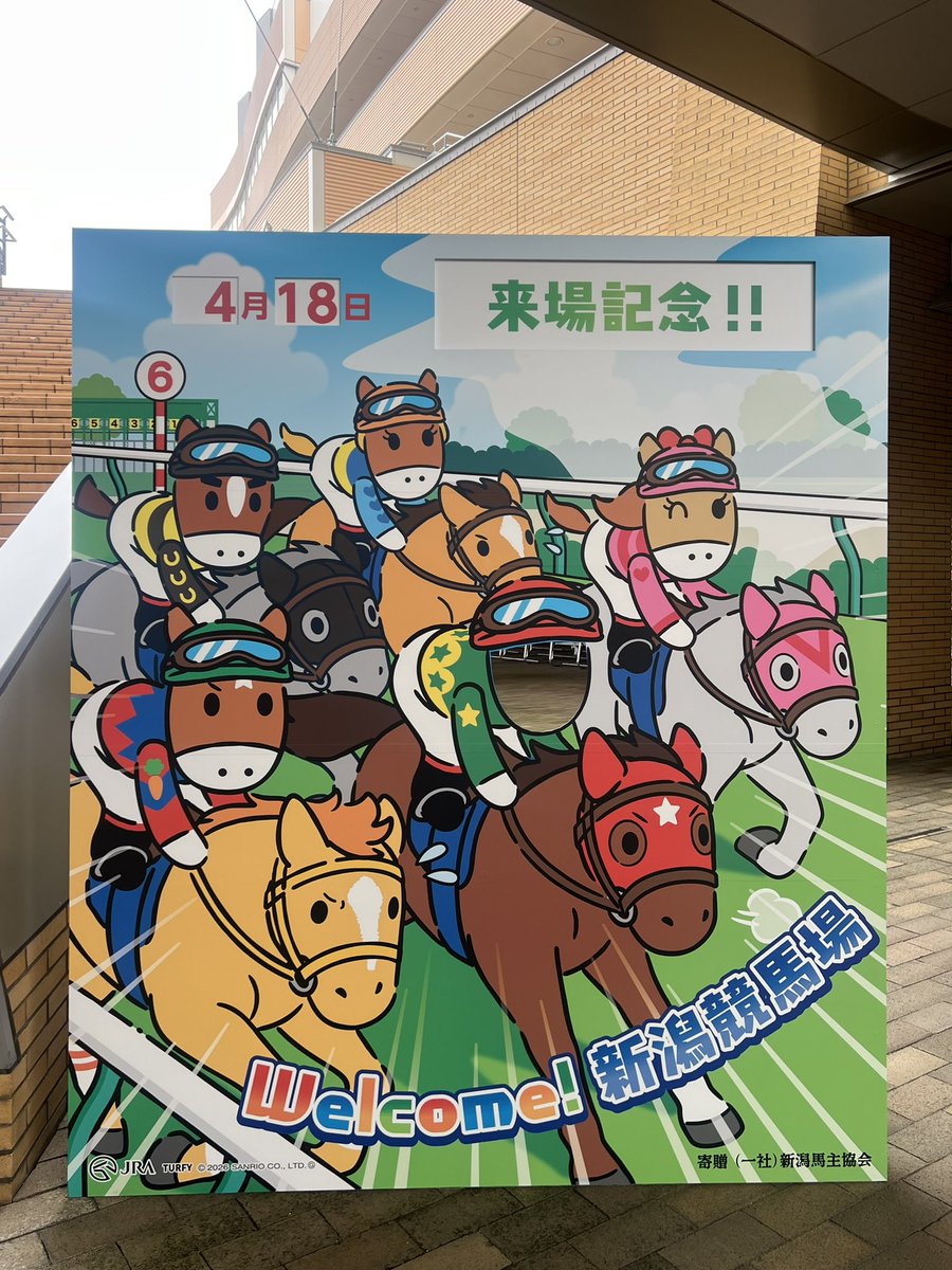 JRA新潟競馬場 tweet media