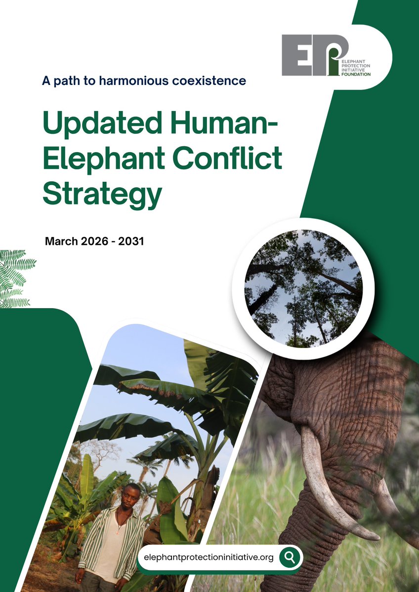 Elephant Protection Initiative tweet media