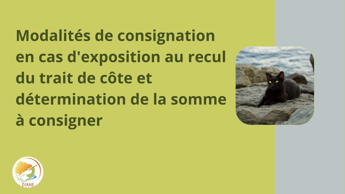 Diane - Intranot tweet media
