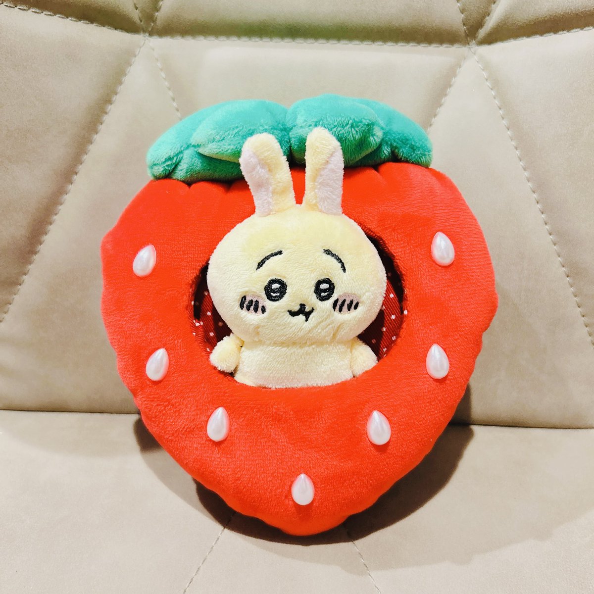 ᕱ⑅ᕱTomomelo❤︎°🐰🍚 tweet media