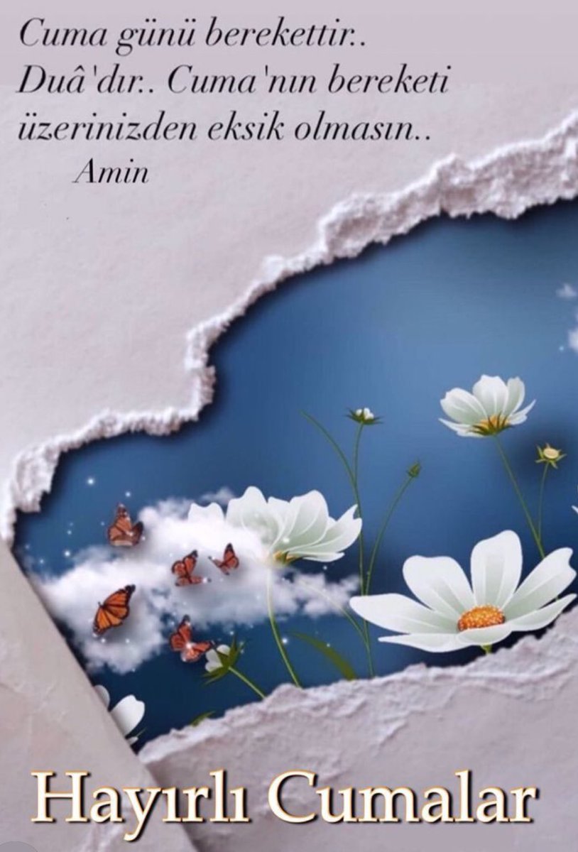 O. Kzlrmk tweet media