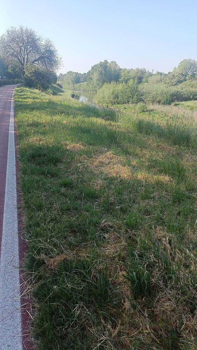 Passeggiata rigenerante