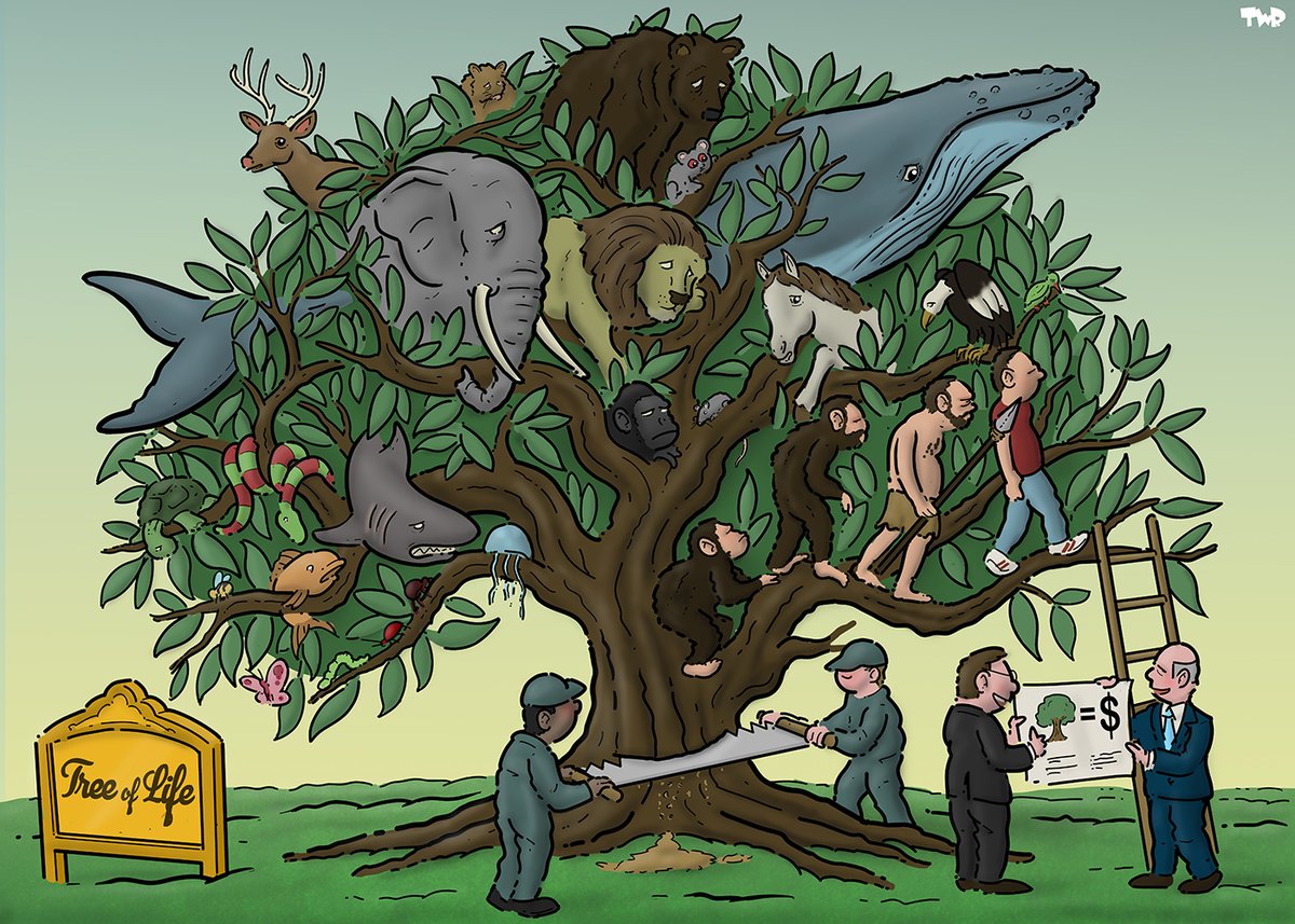 Royaards's tweet image. Tree of life. Cartoon for Dutch newspaper Trouw.

#greed #humanity #life #nature