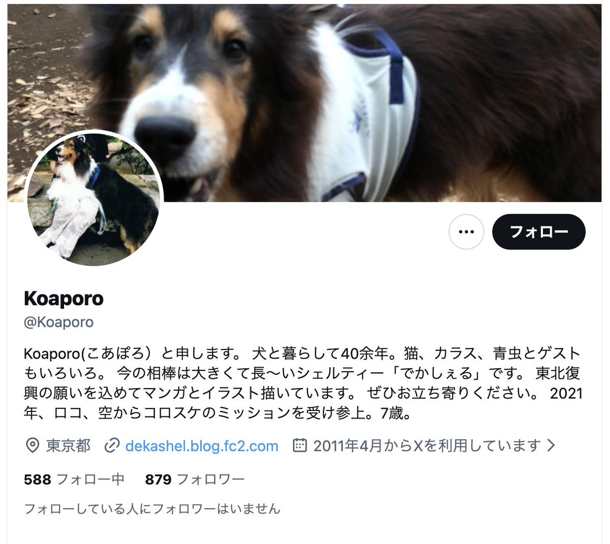 KoaporoReal tweet media