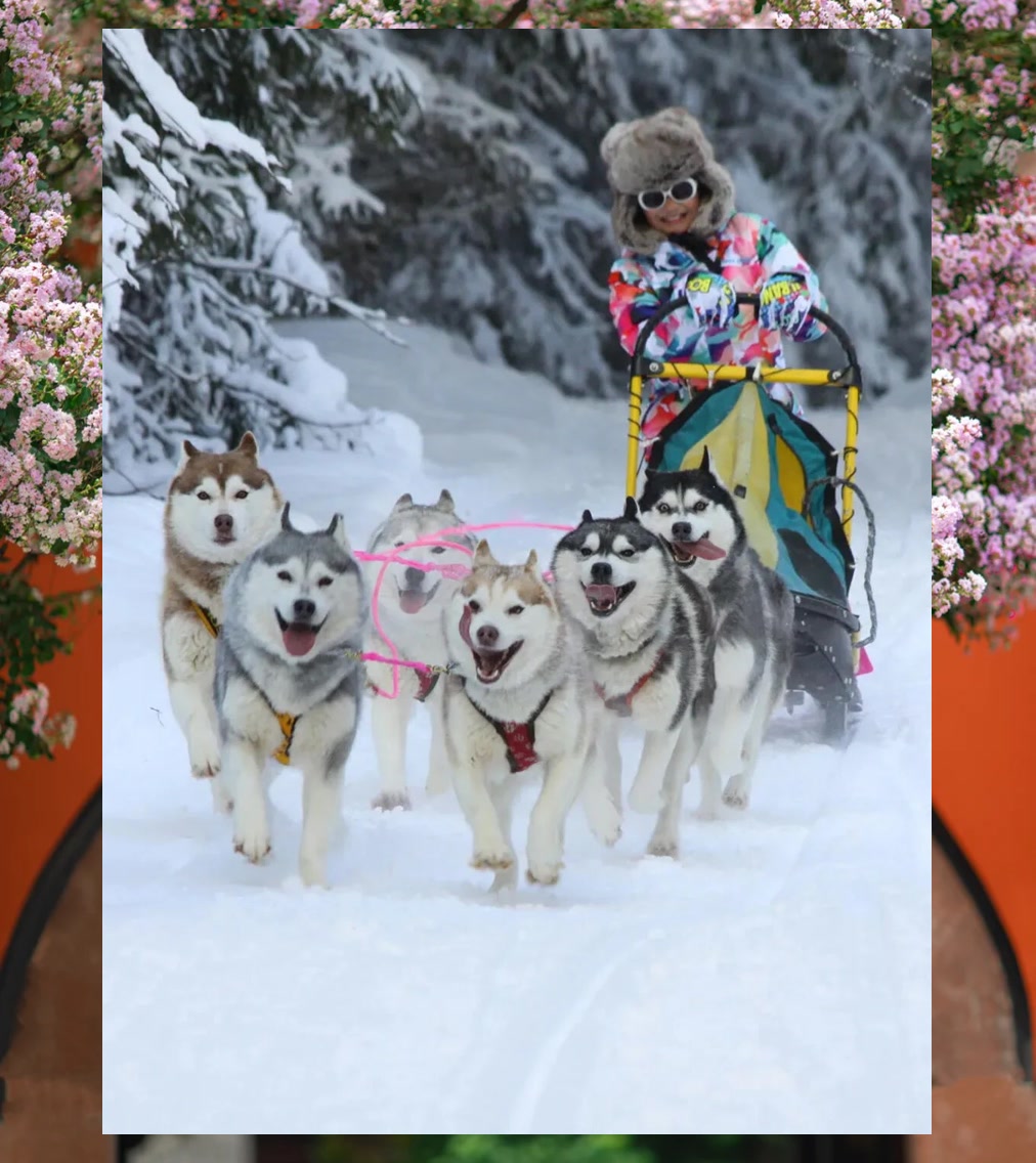 Ricky Fulce tweet media