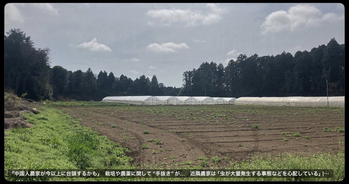 改革(したい)おじさんのひとりごと tweet media