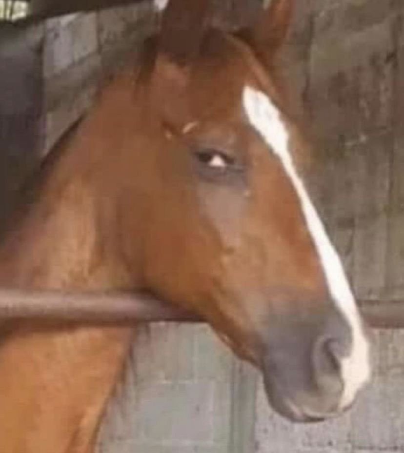 ⚖️Goodness.Dev tweet media