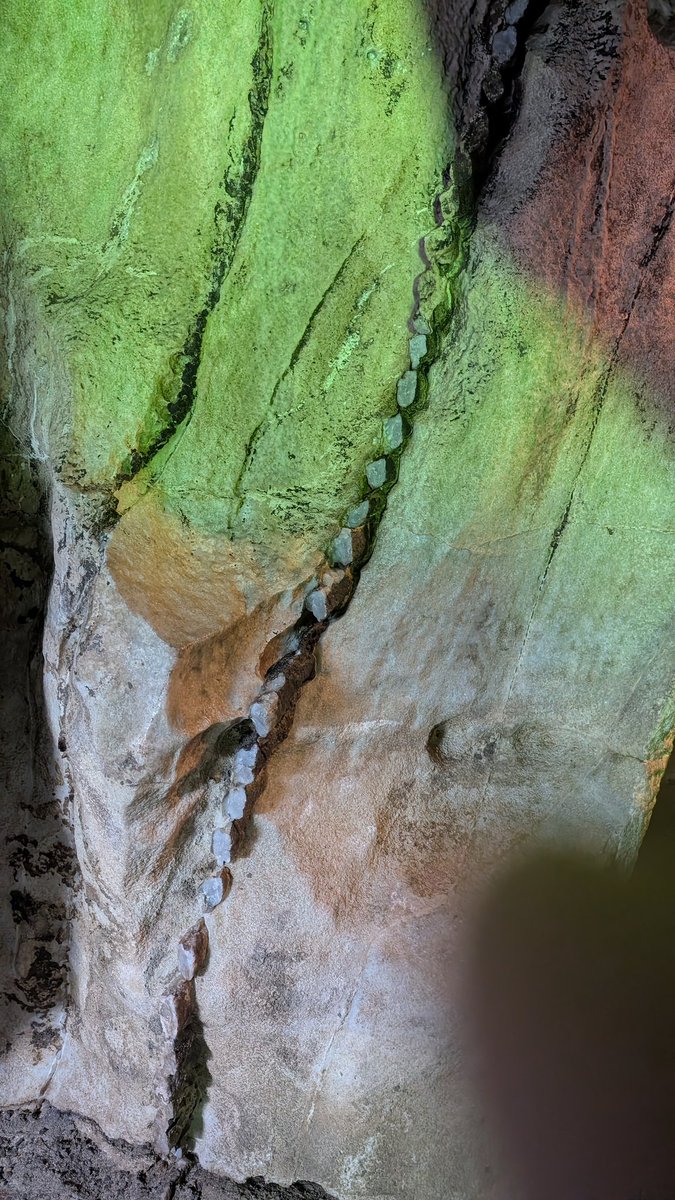 鈴木叶緒 tweet media