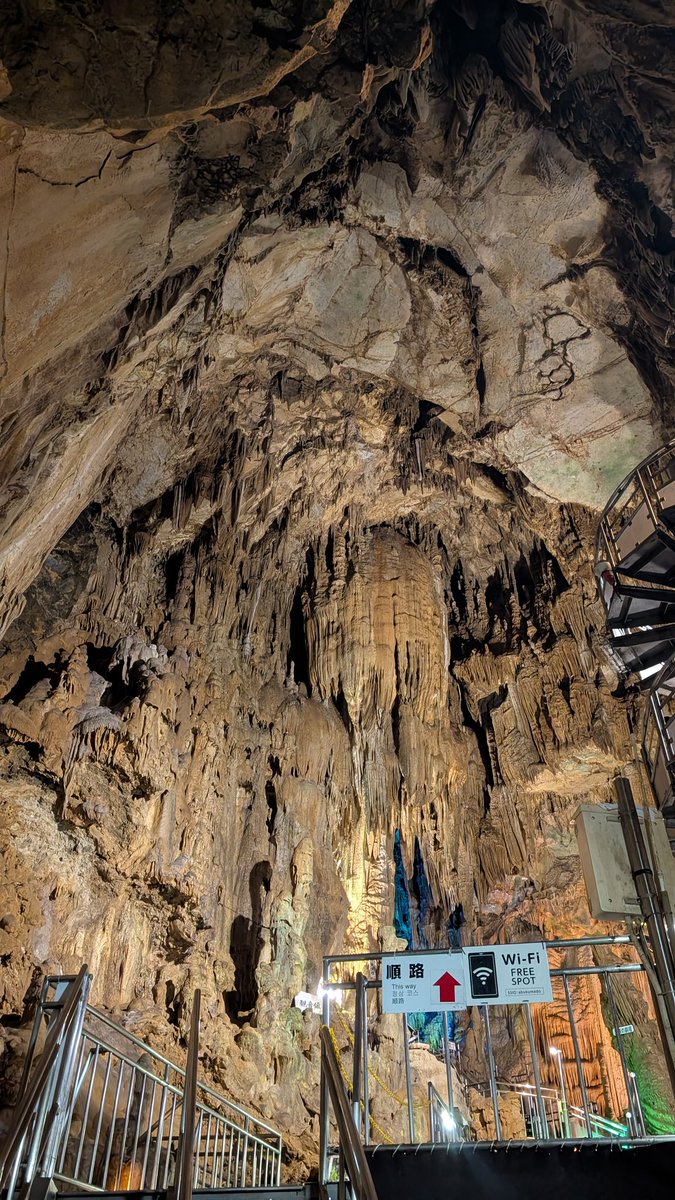 鈴木叶緒 tweet media